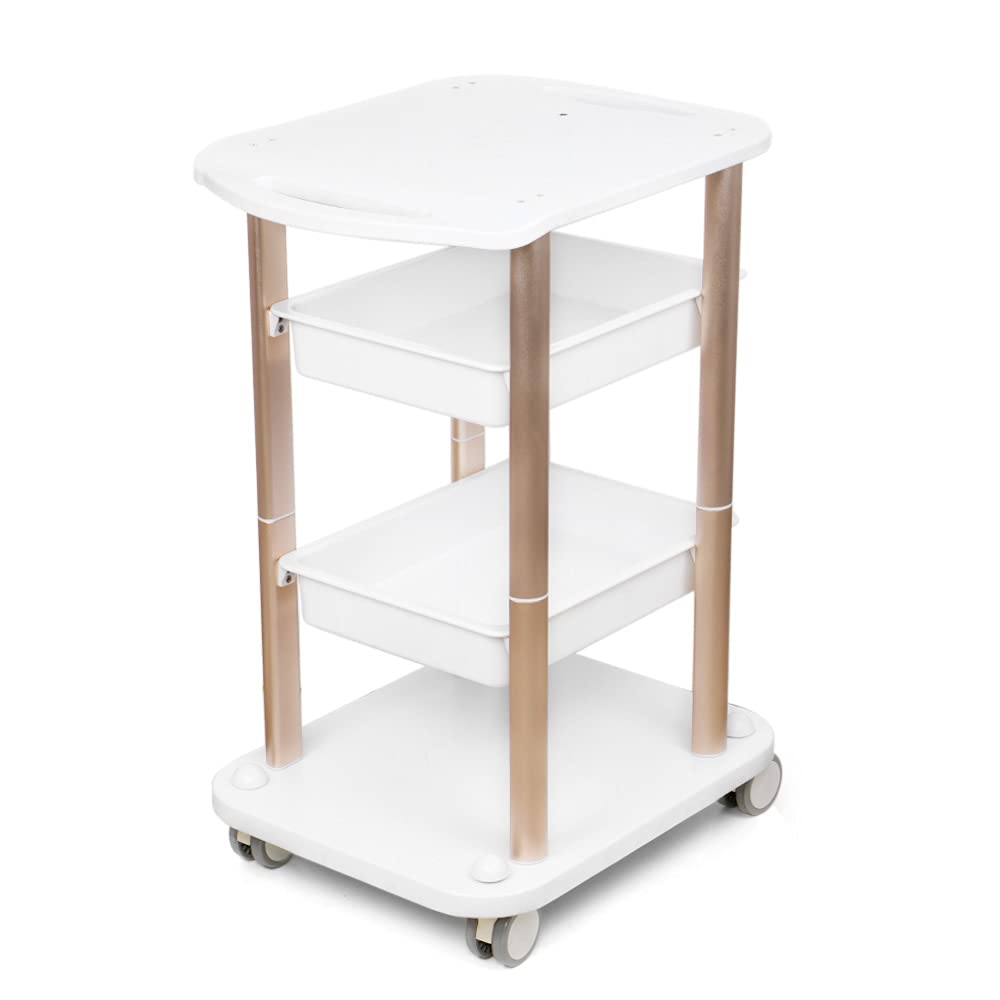 Buy Salon Trolley Cart with Wheels, 3 Tier Rolling Storage Cart for