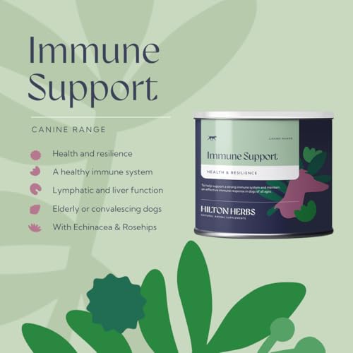 Hilton Herbs Immune Support Natural Dog Supplement. 100% Natural Ingredients. Immunity Supplement for Dogs. Echinacea-Rich Formula. 125 g - Image 7