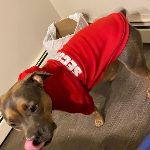 Sweat pour chien imprimé BINGPET pull chaud avec capuche vêtement animaux