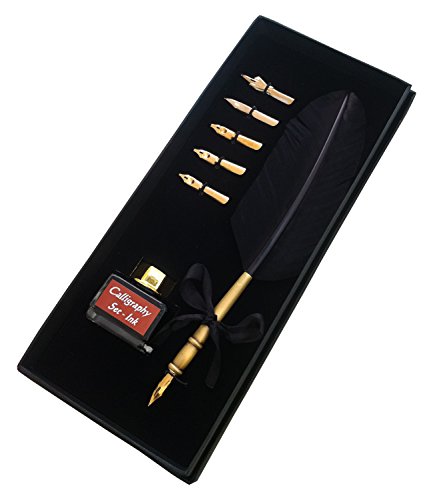 Kentaur Calligraphy Quill Pen Set (Cs-0201) - Dip Pen With Black Turkey Feather, 6 Stainless Steel Nib, And European Ink. Great For Beginner/Enthusiast #TOP1