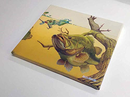 Amazon.co.jp: キャンバスアート 八百板浩司 直筆サイン入り