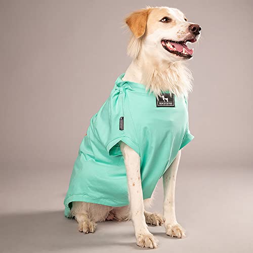 Image of HUFT Adopted and Adored T-Shirt for Dog - Light Blue - S