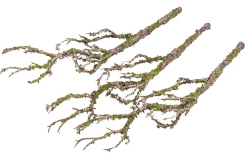 Botanic-Haus künstlicher Deko-AST (Kunstast/Kunstzweig) klein braun