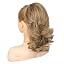Light Brown with Highlights