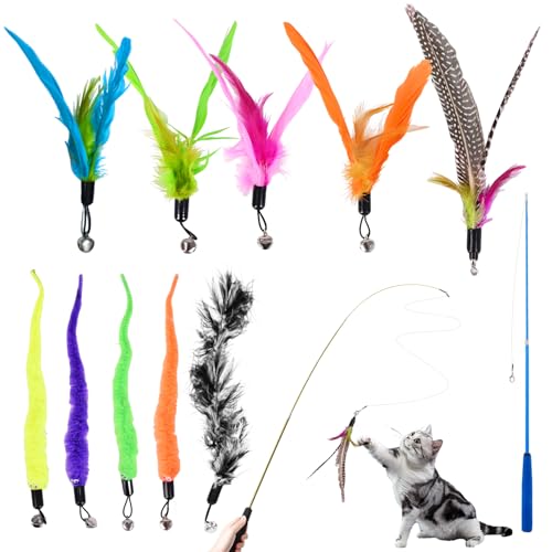 ACOMTUO Katzenspielzeug 12 Stück,Interaktives Katzenspielzeug Feder mit 2 STK Versenkbare Katzenangel Ersatz und 10 STK Feder Spielzeug mit Glocken ACOMTUO Katzenspielzeug 12 Stück,Interaktives Katzenspielzeug Feder mit 2 STK Versenkbare Katzenangel Ersatz und 10 STK Feder Spielzeug mit Glocken