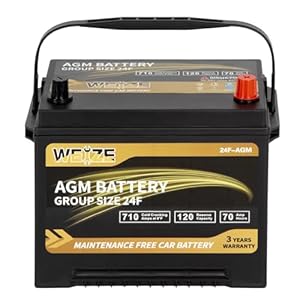 Weize Platinum AGM Battery BCI Grou...