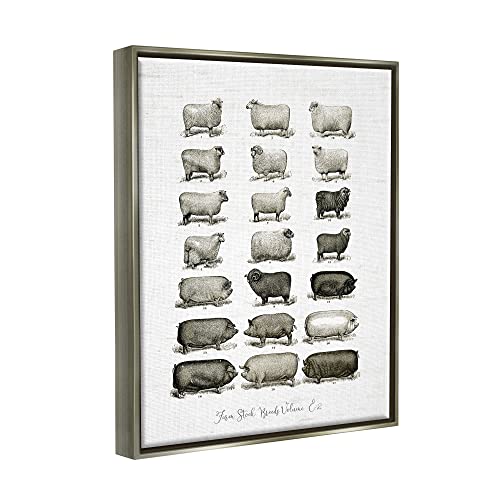 Image of Farm Animal Breeds Diagram Chart, 24 x 30 Inch Canvas in Floater Frame | Stupell Industries . By Lettered and Lined . Ready to hang . Great for farmhouse decor . Made in USA