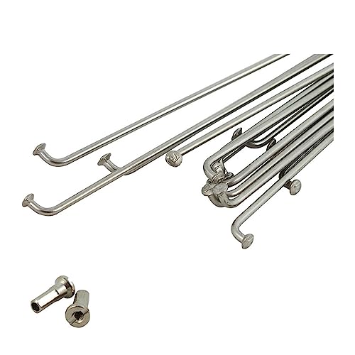 Rayons de vélo 14G 288mm en acier inoxydable pour VTT et route - 4