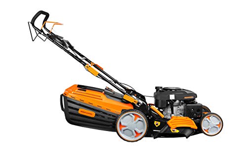 Proyama 196Cc Gas Lawn Mowers, 22 Inch Self Propelled Lawn Mower Gas Powered, Walk-Behind Lawn Mowers 4 In 1 With Tough Bagger Side Discharge Mulching Collecting, Extra Cover And Blade (Lawn Mower) #TOP2