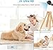 Zaiew 2K MiniSmart Hidden HD Cameras Wireless WiFi Camera for Home Security - Night Vision, Motion Detection, Built - in Battery, App Control (iOS & Android) - Ideal Indoor Nanny, Pet & Dog Camera