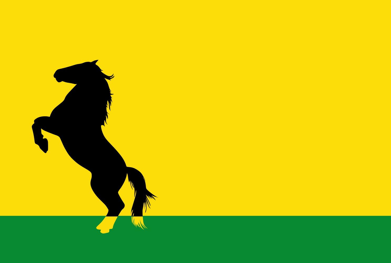 Grand drapeau Hengstdijk vlag pour célébration culturelle et décoration murale