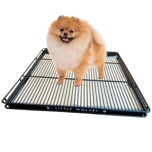 Little Wolves Puppy Potty Tray 22x22 Shred-Proof Heavy-Duty Training Tray for Puppies & Small Dogs Easy-Clean Indoor Dog Pee Pad Holder (Small Gap)