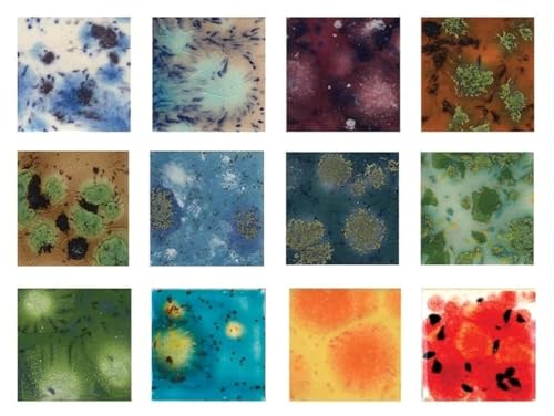 Mayco Crystalites Glaze Set 4 oz - 12 Jars