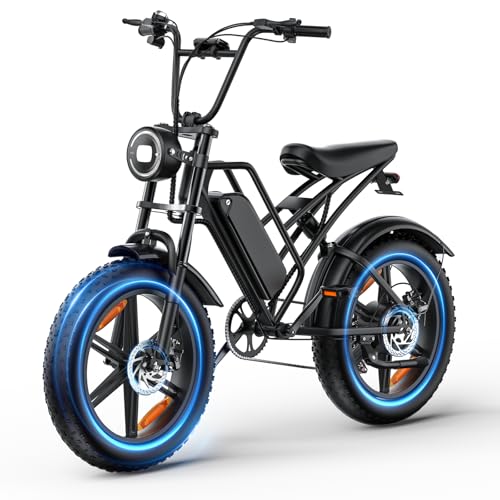 RPINT E500 1000W Peak All-Terrain Ebike