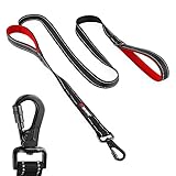Tuff Pupper Heavy Duty Double Handle Leash | Twist Locking Carabiner Clip | Safety Lock for Strong Dogs | Reflective for Safe Night Walks | 6 Foot Leash | For Medium & Large Dogs
