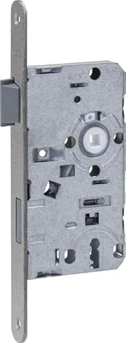 ABUS ES BB L G 55 72 20 – Einsteckschloss, Schlüssel, ES Achse 55/Abstand 72 mm, goldfarben