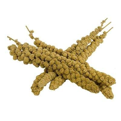 Versele setaria ITALICA Cina Giallo 15 kg