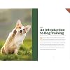 Clicker Training for Dogs: Master Basic Training, Common Cues, and Fun Tricks in 15 Minutes a Day Paperback June 15, 2021