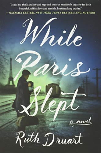While Paris Slept view 2