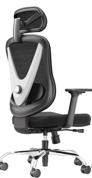 Ergonomic Mesh Office Chair - 3D Adjustable Lumbar Support & 3D Armrests, V-Shaped Back, Adjustable Desk Chair for Office & Home, Black