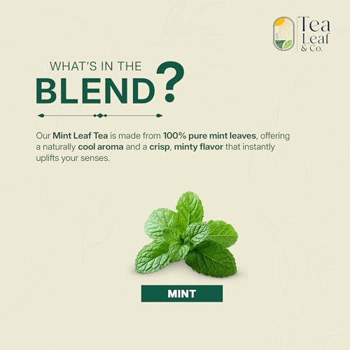 Image of Pure Mint Herbal Tea (200 gm /7 oz), Natural Herbal Infusion, 100 Tea Bags