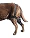 Labra Dog Canine Knee Stifle Brace Wrap, Metal Splint Hinged Flexible Support Brace for K9 ACL, CCL, Luxating Patella, Cruciate Ligament Sprains in Back Hind Leg, Large - Right Knee, 75-100 lb Dogs