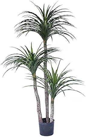 Amazon Viridii 人工観葉植物 フェイクグリーン 170cm コンシンネ ドラセナ マルギナータ 緑色 造花 造花グリーン インテリア飾り用 ギフト フェイク 人気ランキング 光触媒 大型 記念樹 金運 仕事運 風水 人工観葉植物 オンライン通販
