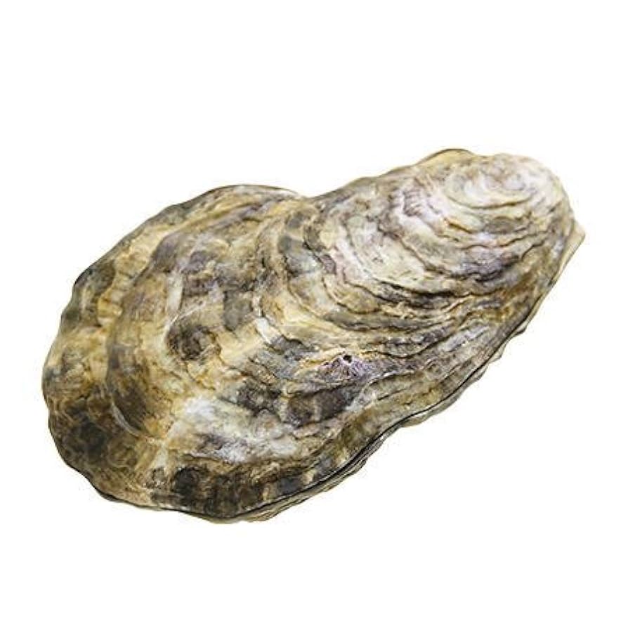 有*キ様 有機物ニキ 第2類医薬品】漢方ニキビ薬N「コタロー」 144錠 : くすりの