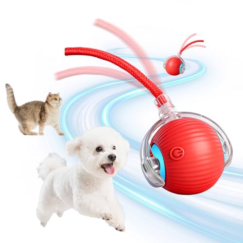 Swiftctrl Jouet Chat Interactif et Électrique Autonomisant, Balle pour Chat avec Modélisation Automatique 360°, Rechargeable USB pour Chats et Chiens de...