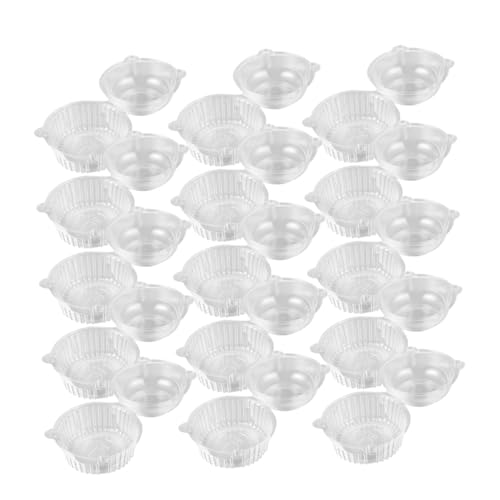 EXAOMBLE JbvP[L{bNX 100 PETfސ ی^P[LP[X L^ a  p[eB[p