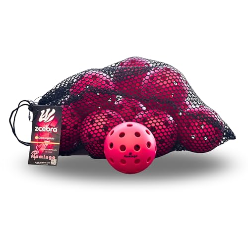 ZCEBRA - Pickleball Bolas 40 Agujeros...