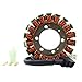 RMSTATOR Replacement for Generator Stator Yamaha YZF R6 / Champions Limited Edition 1999-2002 | OEM Repl.# 5EB-81410-00-00