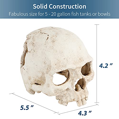 Image of Uniclife Aquarium Skull Reptile House Decor Resin Head Skeleton Ornament for Tank Landscape Decorative Hideout Cave Shelter for Small Fish Shrimp Snail Gecko Spider Lizard in 5-20 Gallon Fish Tank