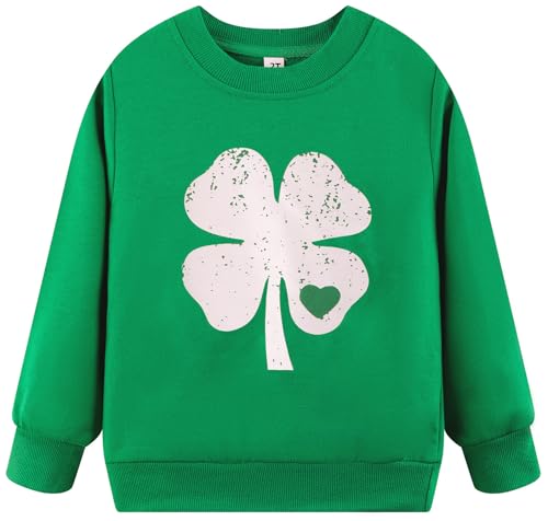 Image of Akyzic Toddler Boys Sweatshirts Cotton Crewneck Truck Shirt Dinosaur Long Sleeve Pullover Tops Tees 2-8T
