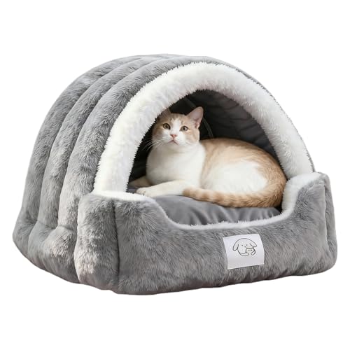 LbgP[u,vbV \tg ybg 났 nEX O \ pbh t | LpP[unEXeg - rO Q oRj[ ƒ Op