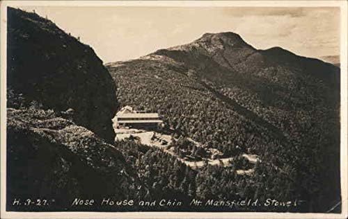 Nose House and Chin Mountain, Mt. Mansfield Stowe, Vermont VT Original Antique Postcard