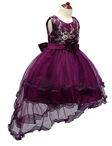 Embroidered Children Clothes Trailing Dress Junior Girl Wedding Party Princess Dress2