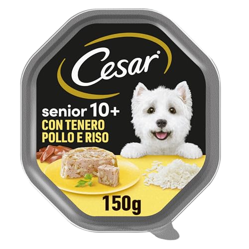 Cesar Senior 10+ Cibo per Cane con tenero Pollo e Riso, 150 g, 14 Vaschette