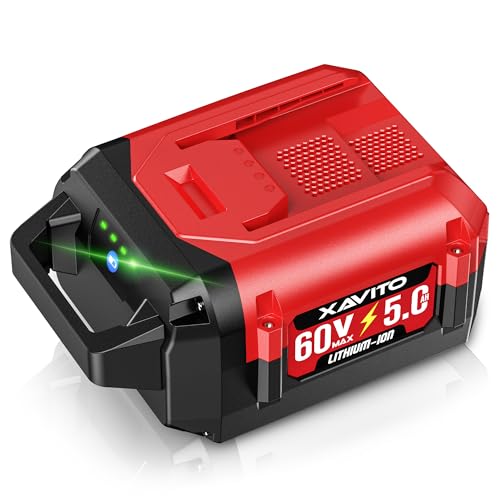 XAVITO 60V 5.0Ah Replacement Battery