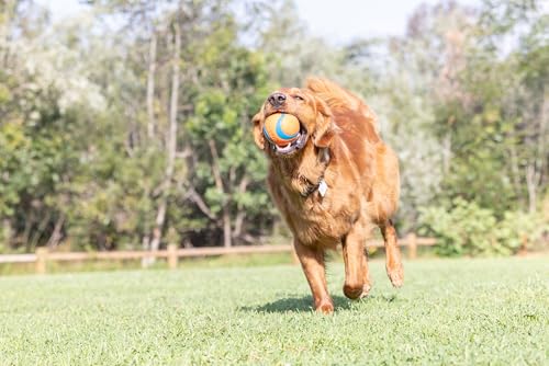 Image of Chuckit! Ultra Ball Dog Toy - Size XXL - for Dogs 100+ lbs - Made from Durable Rubber - Super Bouncy - Floats in Water - 4-inch Diameter - XXL (Pack of 12)