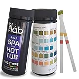 Pool and Spa Test Strips - Quick and Professional Pool Test Kit, 100 Count Pool Test ...