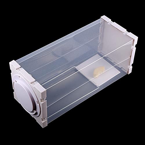 Humane rattenval, muizen Knaagdieren Kooi Levend dier Humane valvangst Ongedierte Knaagdieren Muizen Muiscontrole Aas… - Image 6