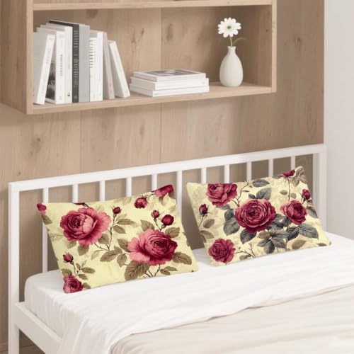 Juego de 2 fundas de cojín de terciopelo de 40x60 cm en color rosa para decoración de sofá 5