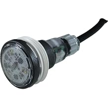 Pentair EC-620425 MicroBrite Color LED Light 100 -