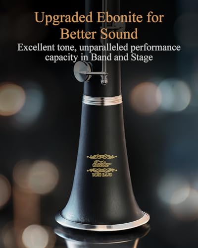 Image of Eastar Upgraded Bb Ebonite Clarinet Intermediate, Silver, Full Kit, ECL-400