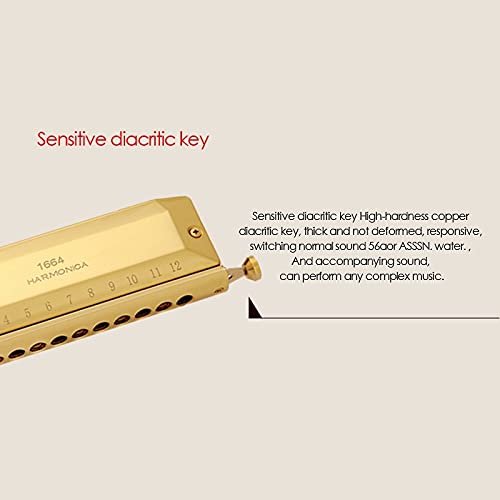 Harmonica Harmonica couleur 16 trous 64 harmonica C instrument professionnel - Les Beatles, Paul McCartney, John Lennon, RIngo Starr, George Harrison Harmonica Harmonica couleur 16 trous 64 harmonica C instrument professionnel – Image 4