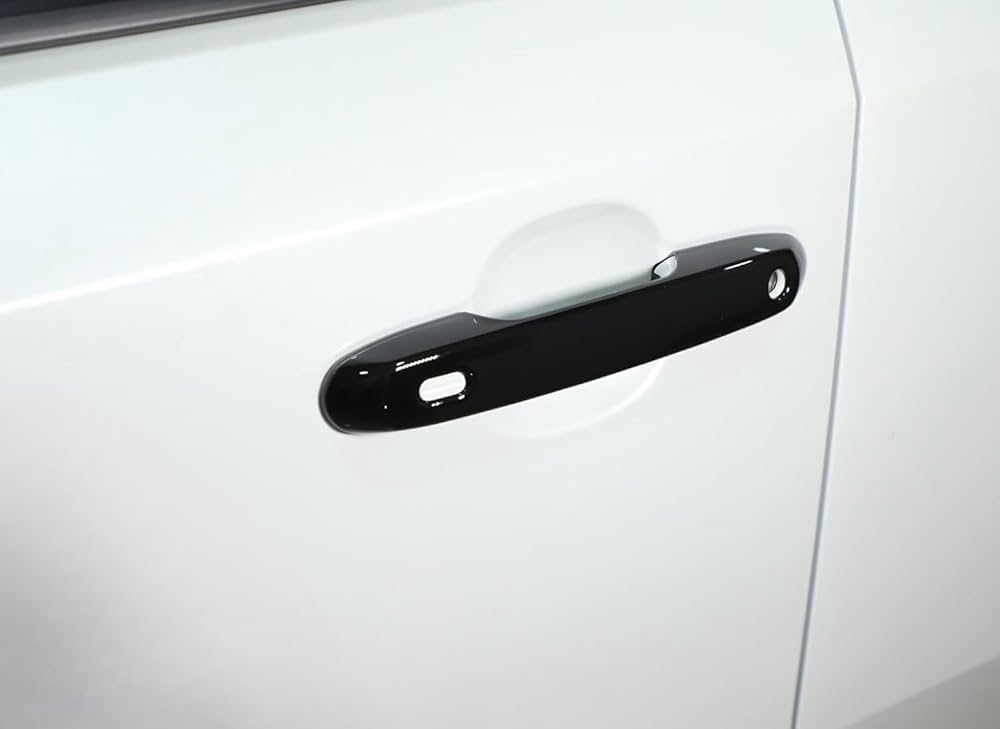 Amazon.co.jp: Tendrilora 新型トヨタ ランドクルーザー250適用 ドア