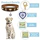 DELORIGIN 12 Stück Halsbandanhänger Mit Bösem Blick Für Katzen Und Hunde Herzform Emaille Legierung Haustierhalsbandanhänger Clip On Charms Halskette Halsband Für Taschendekor Schlüsselanhänger