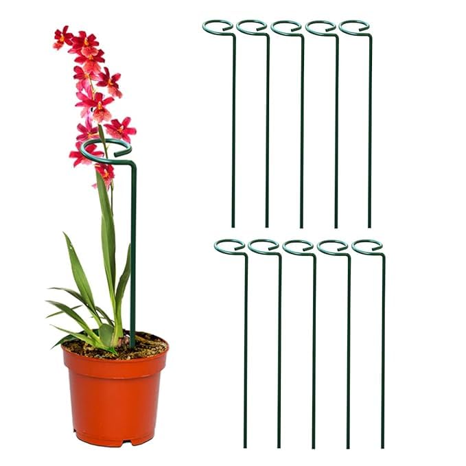 18 Inches Premium Plant Support Stakes, Sturdy Metal Construction for Strong and Healthy Plant Growth (Light Green - 5 pcs)