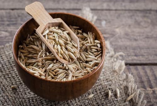 25 kg Hafer futterhafer für Pferde, Wildvögel, Hühner und Tauben – Natürliches Getreide, ideal als Futter und zur Vogelfütterung
